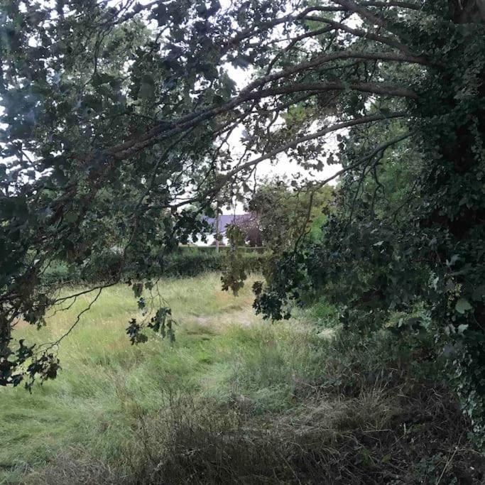 Priory Meadow Cottage Long Bennington Buitenkant foto