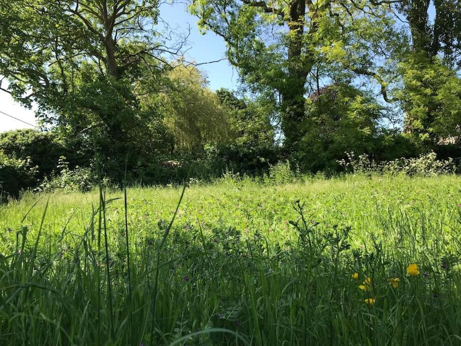 Priory Meadow Cottage Long Bennington Buitenkant foto