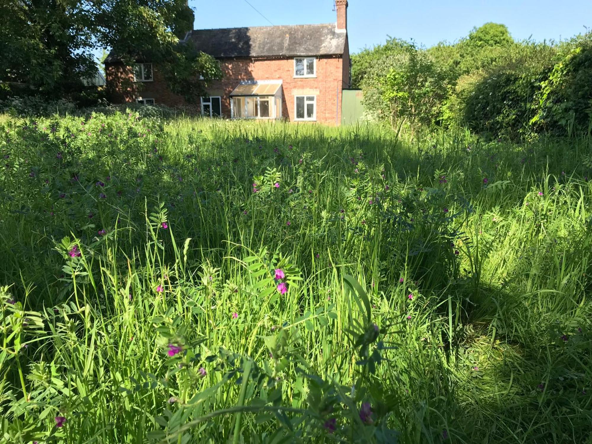 Priory Meadow Cottage Long Bennington Buitenkant foto